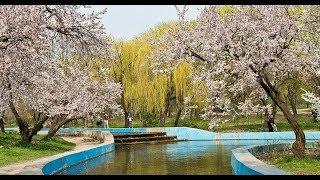 Одесса.  Парк Победы. Odessa. Victory Park