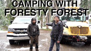 Hiking And Camping With Foresty Forest