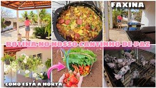 LAR NO SERTÃO NORDESTINO | HORTA | ALMOÇO TÍPICO E FAXINA 