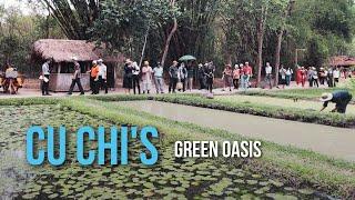 Củ Chi's green oasis | Du lịch xanh tại Củ Chi