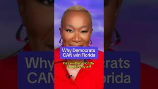 Why Democrats CAN win Florida