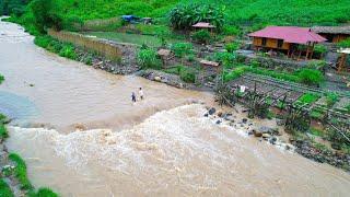 Living Off The Grid - dangerous floods, separating corn seeds, replanting GARDEN of dead plants