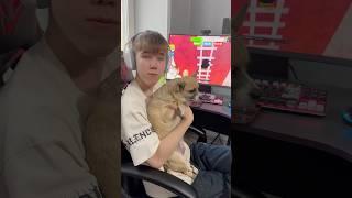 КУДА ДЕЛИСЬ МИШКИ?#shorts