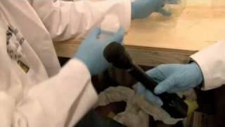 Home Chemistry