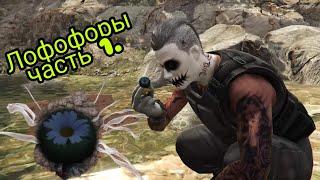 Gta 5 online. Лофофоры. Собираем пейоты. Обновление Halloween.#aswyoutube