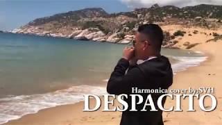 Despacito | Harmonica cover