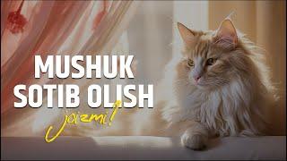 Mushuk sotib olish joizmi? | Shayx Sodiq Samarqandiy