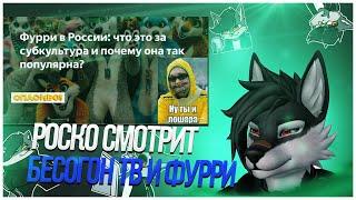  Роско смотрит Ruslan Brovkin - ‎Никита Михалков ворвался на детский утренник к фурри, чайлдфри