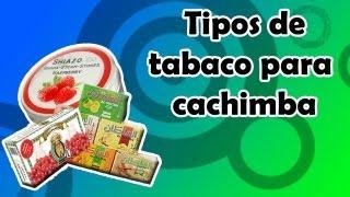 Tipos de tabaco para cachimba | SmokeYourLife&Fly Blog