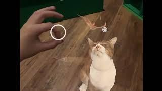 memories in AR - cats in augmented reality