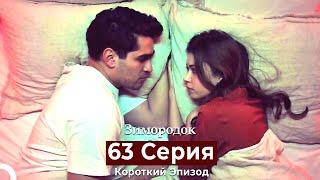 Зимородок 63 Cерия (Короткий Эпизод) (Русский дубляж)