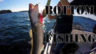 Bottom Fishing with mackerel as bait