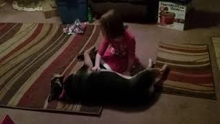 Little Girl gives the Big Dog a Belly Massage