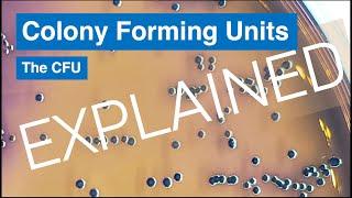 From One Cell to Billions - Colony Forming Units