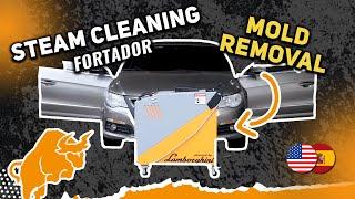 Steam Cleaning a Mold Car Interior – Complete Interior Steam Cleaning and Mold Removal.