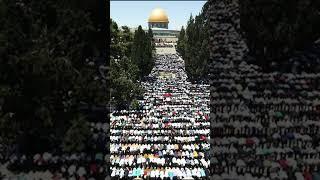#aqsaaa #aqsamasjid #aqsamosque #aqsa #iloveaqsa