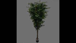 Artificial Ficus Tree In Vase 84 Inches