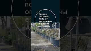 С Календарем огородника ваш сад станет настоящим райским уголком!