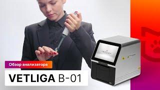 Обзор ветеринарного биохимического анализатора #VETLIGA B-01