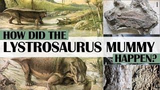 How did the Lystrosaurus Mummy Happen?