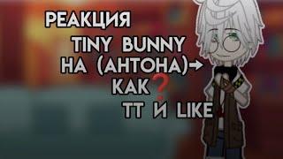 реакция tiny bunny на Антона как рандом tt и like 3/3 (дождались) {опис}