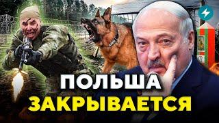 Туск переиграл Лукашенко: новая политика Польши для беларусов. Чего ожидать? // Новости Беларуси