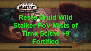 Sloopy Mist of Tirna Scithe Mythic+9 Fortified Resto Druid Wild Stalker PoV, The War Within Season 1