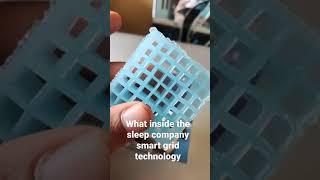 The sleep company inside smart grid technology