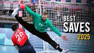 Crazy Handball Saves ● 2025 ᴴᴰ