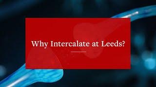 Why Intercalate at Leeds? | University of Leeds