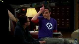 Go Team Leonard! - The Big Bang Theory