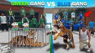 Franklin Blue Gang Vs Shinchan Green Gang Tiger Challenge In GTA 5!