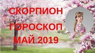 Скорпион - гороскоп на май 2019 года