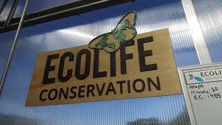 EcoLife Conservation