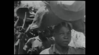 WW II:  81st (West Africa) Division Burma 1945