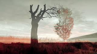 Mourning Tree [Ambient Piano Neoclassical Music] - by Eric Heitmann