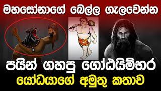 මහසෝනාගේ බෙල්ල ගැලවෙන්න ගහපු ගෝටයිම්බර | Giant Warrior Gotaimbara |