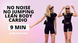 Cardio No Noise No Jumping Apartment Friendly Pregnancy Safe Workout / Nina Dapper