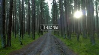 Lithuania Forest