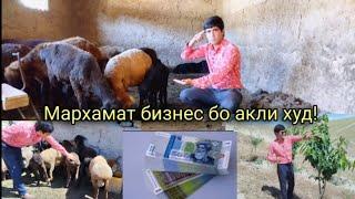 Савет: 4 намуди бизнес барои шуморо бой кардан: 