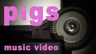 pigs by adam khoury (Music Video)