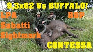 South Africa Buffalo Safari Contessa Mounts Sightmark Presidio B&P BP107 Sabatti 9,3x62 LPA Part 2