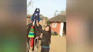 Horse riding at green world foundation jevik farm, Jaipur, Rajasthan  cont.- 7976353901, 9667090201