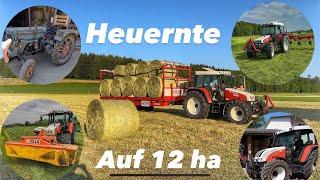 12ha Heu auf einen Streich | Steyr Power | BHTR