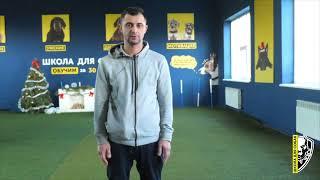 Отзыв после 3 курсов дрессировки | Ягд Терьер Лика  | Школа для собак DRED | Дрессировка Украина