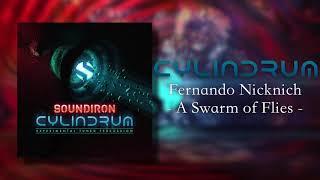 Cylindrum | Fernando Nicknich - A Swarm of Flies