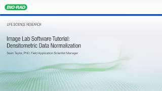 Image Lab Software Tutorial: Densitometric Data Normalization