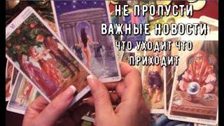  Что уходит Что приходит Какие двери открываются 🃏 Новости Таро знаки Судьбы прогноз #tarot