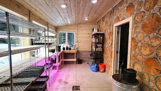 Lights, Shelves, Action! | Finishing the Seed Room