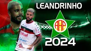 LEANDRINHO  2024